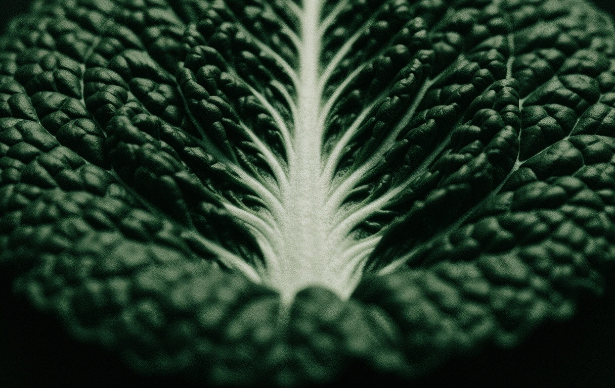 Botanische textuur
